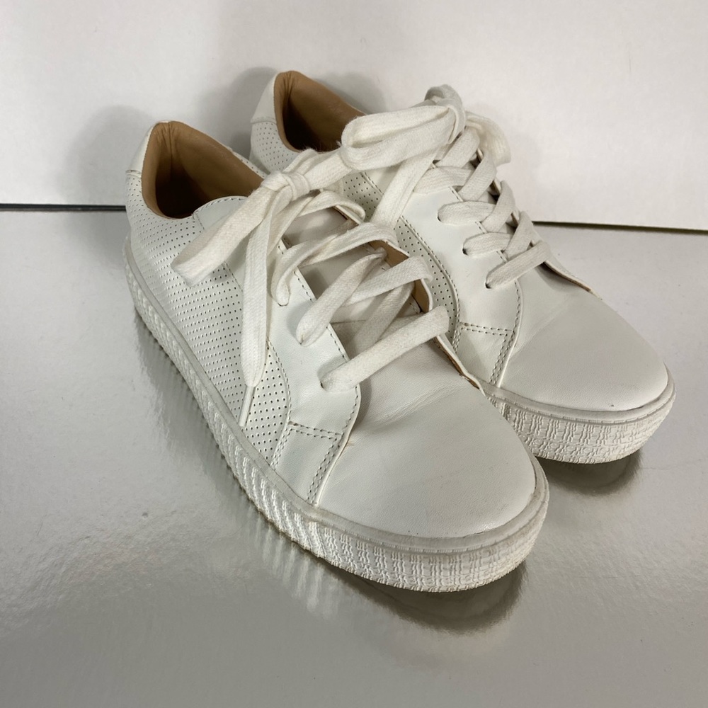Steve Madden Woman’s Tolivar Sneakers